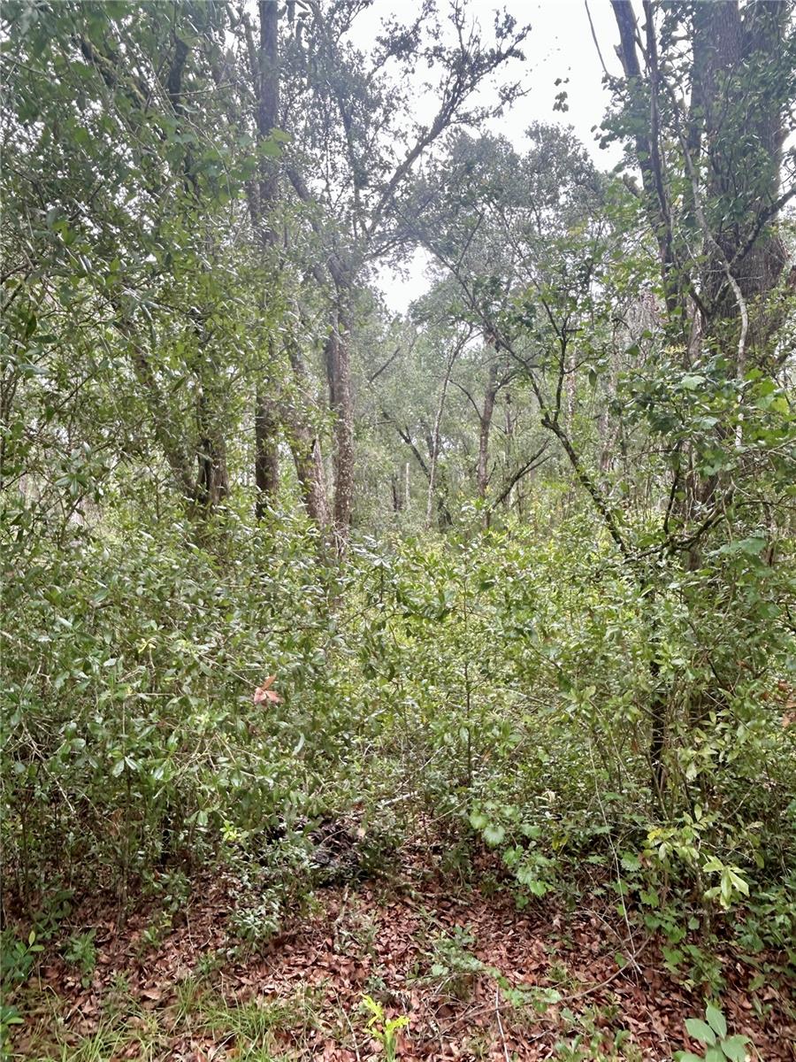 INVERNESS ACRES UNIT 02 AKA INVERNESS VILLAGE - Land