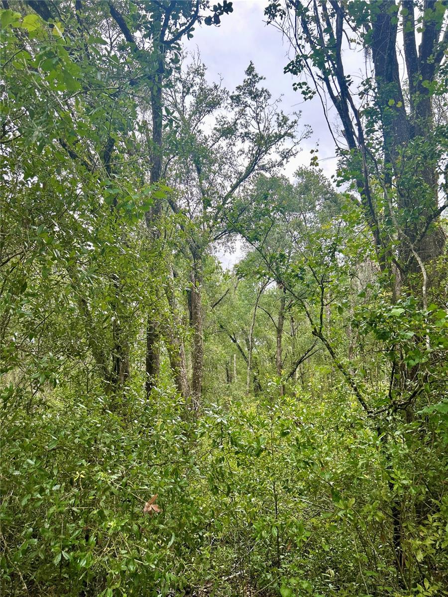 INVERNESS ACRES UNIT 02 AKA INVERNESS VILLAGE - Land