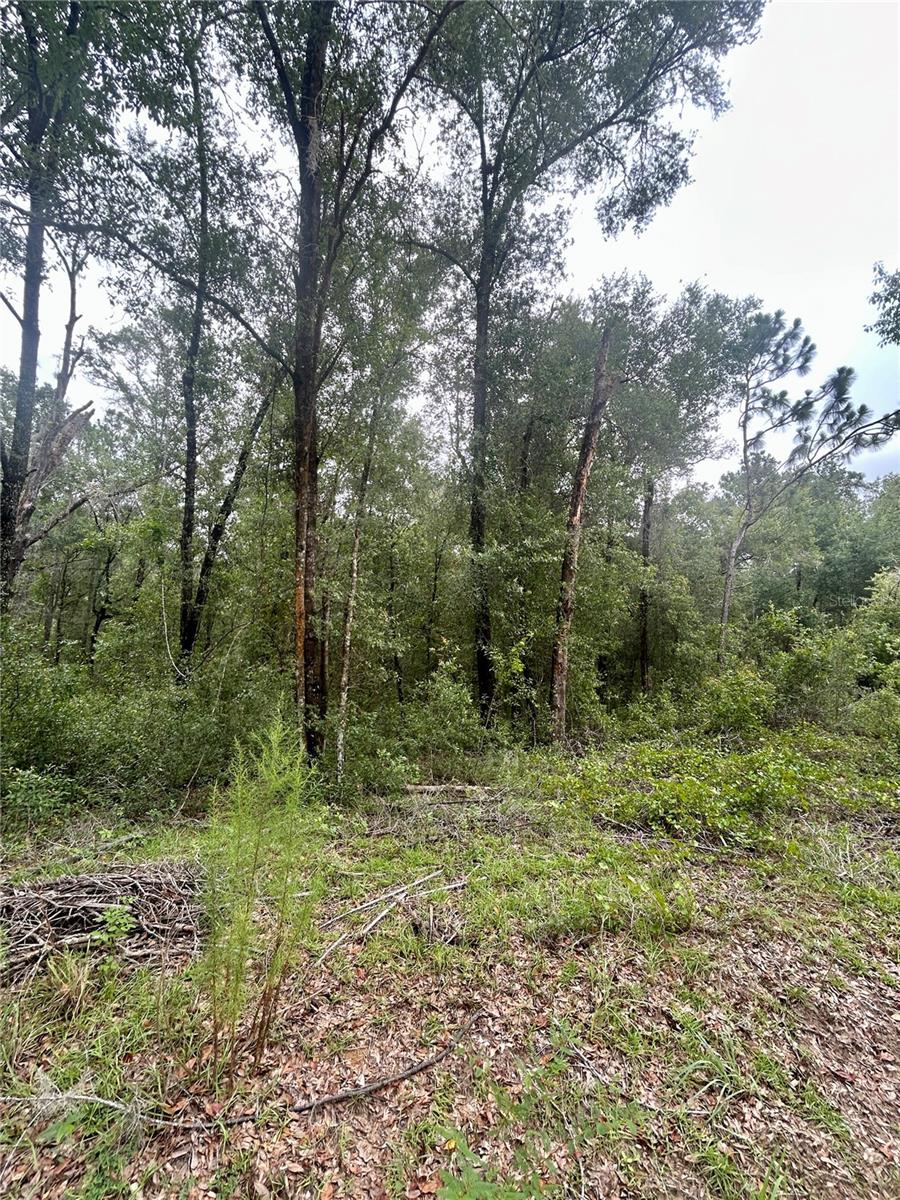 INVERNESS ACRES UNIT 02 AKA INVERNESS VILLAGE - Land