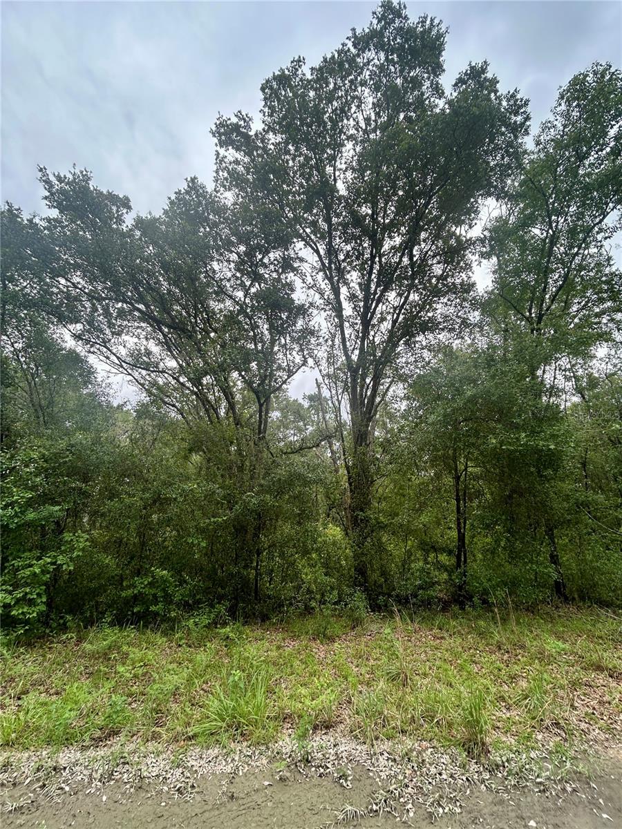 INVERNESS ACRES UNIT 02 AKA INVERNESS VILLAGE - Land