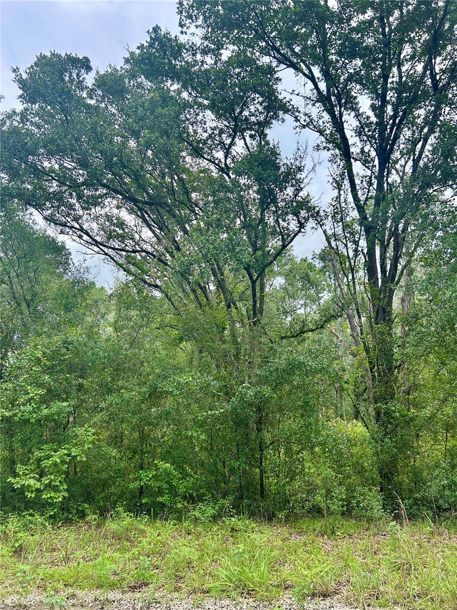 INVERNESS ACRES UNIT 02 AKA INVERNESS VILLAGE - Land