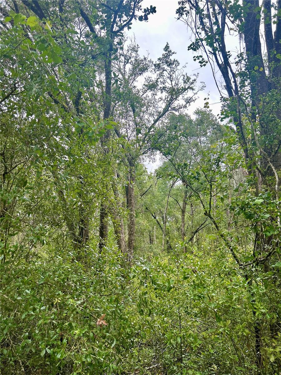 INVERNESS ACRES UNIT 02 AKA INVERNESS VILLAGE - Land