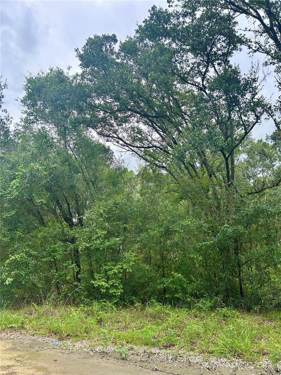 INVERNESS ACRES UNIT 02 AKA INVERNESS VILLAGE - Land