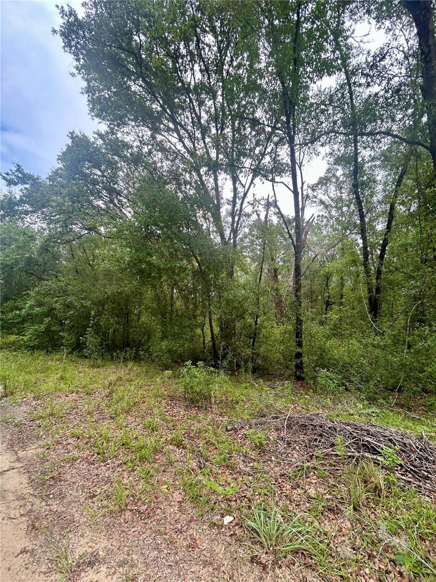 INVERNESS ACRES UNIT 02 AKA INVERNESS VILLAGE - Land