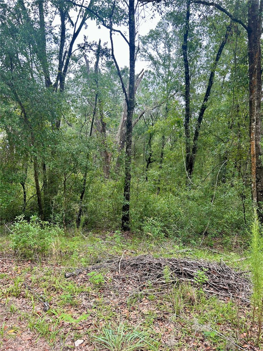 INVERNESS ACRES UNIT 02 AKA INVERNESS VILLAGE - Land