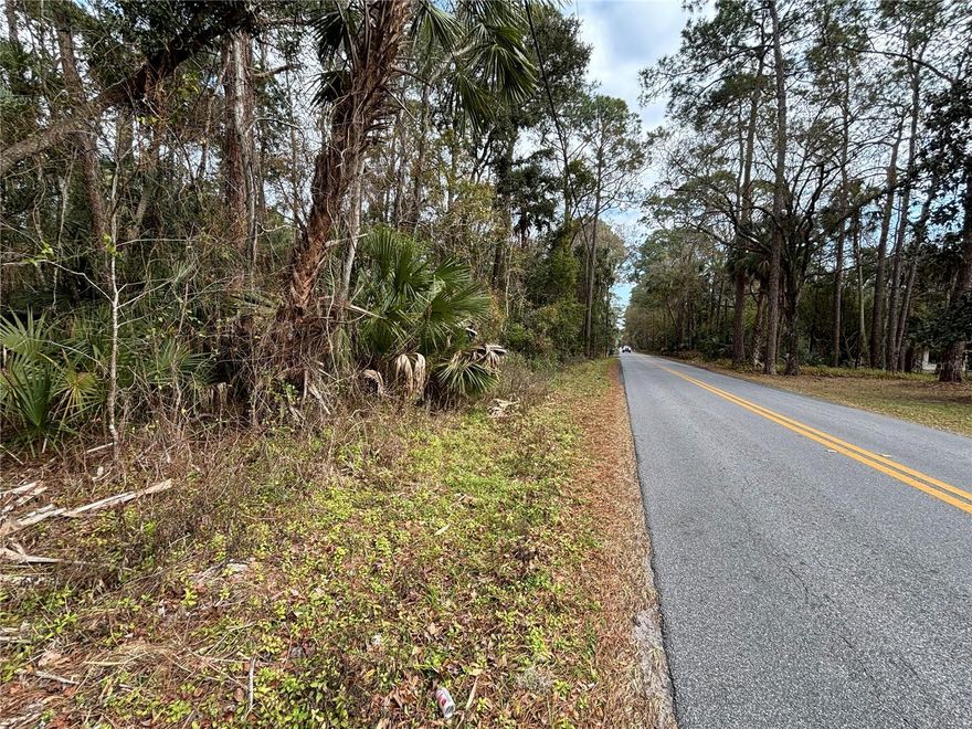 Check out this 0.43 acre lot with NO HOA!! Paved Road and Zoned Medium Density Residential (MDR). Build your beautiful home. Very convenient location!! Located right off US-19 where you have easy access to all your amenities in Homosassa Springs. Less than 10 minutes to downtown Crystal River and Three Sisters Springs. Homosassa Springs Wildlife State Park is right around the corner. Be on the Suncoast Parkway in under 15 minutes for easy access to Tampa, St Pete, and Clearwater. Public Water. Septic Tank Needed.