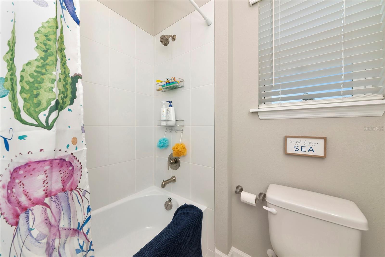 SKYE RANCH NEIGHBORHOOD THREE - Residential