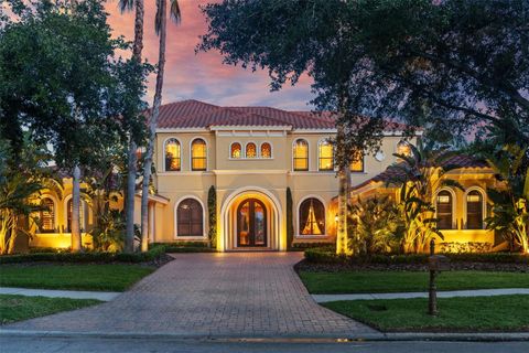 11817 GLEN WESSEX COURT TAMPA FL 33626
