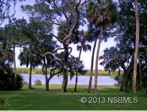 Riverside Park New Smyrna - Residential