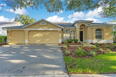 Photo of 9303 Heritage Oak Court, Tampa, FL 33647 (MLS # O6422823)