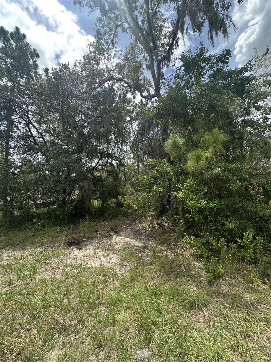Fractional Ownership. Explore the potential of this fantastic 0.23-acre vacant land located in the tranquil Citrus Springs community. This spacious lot residential lot measures 80 by 127 feet and is an ideal canvas for your future home or investment, offering a peaceful setting in a family-friendly area. Located outside the flood zone, with no wetlands and no endangered species on site. Citrus County, Citrus Springs is a rural residential subdivision. Just minutes from the shops on N Florida Ave and the Rainbow Springs River, 30 minutes to the beach, also nearby schools and the Withlacoochee Trail. No HOA.This is a wonderful opportunity to invest in a growing area!