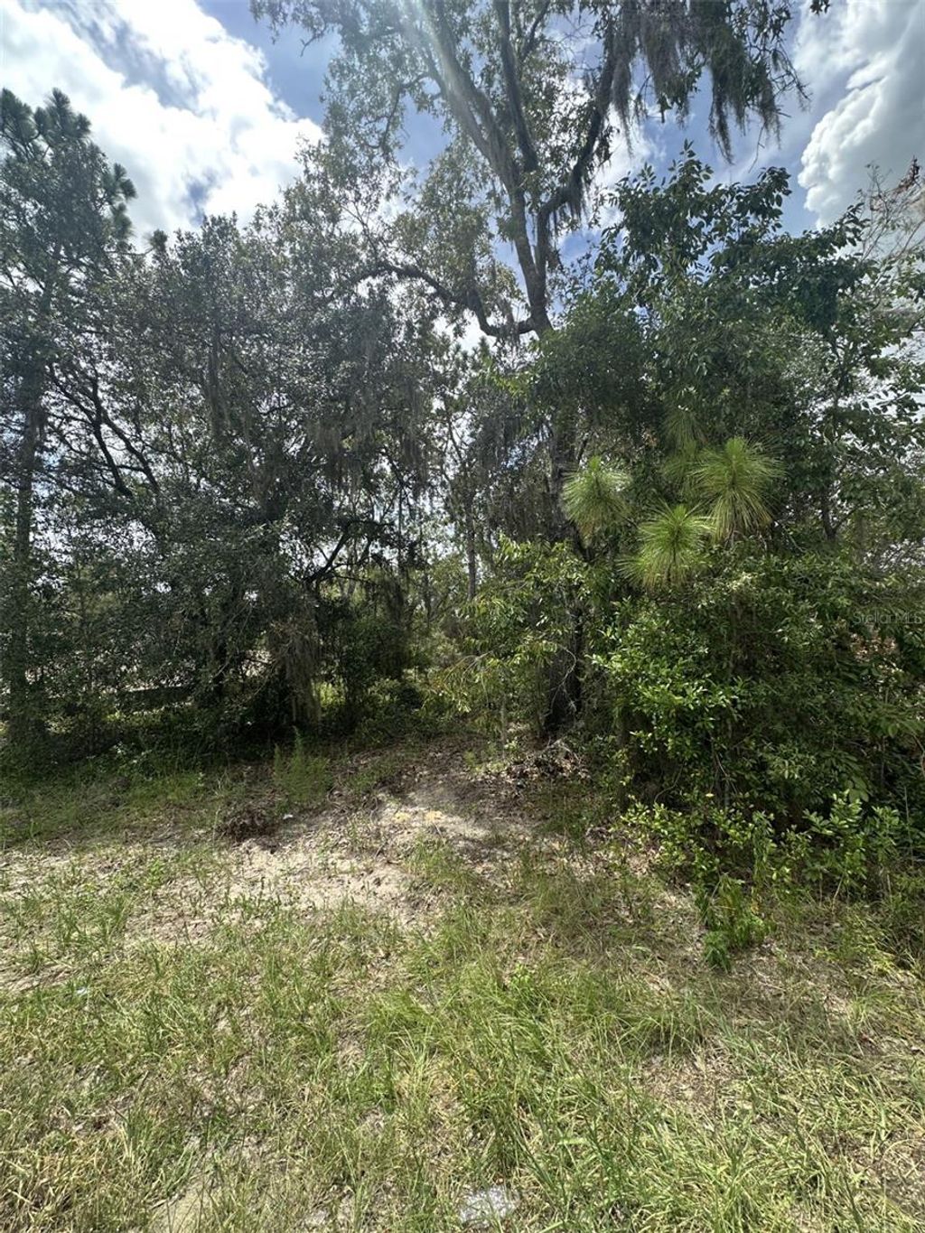 Photo of 9700 N Cortlandt Drive, Citrus Springs, FL 34434 (MLS # O6335166)
