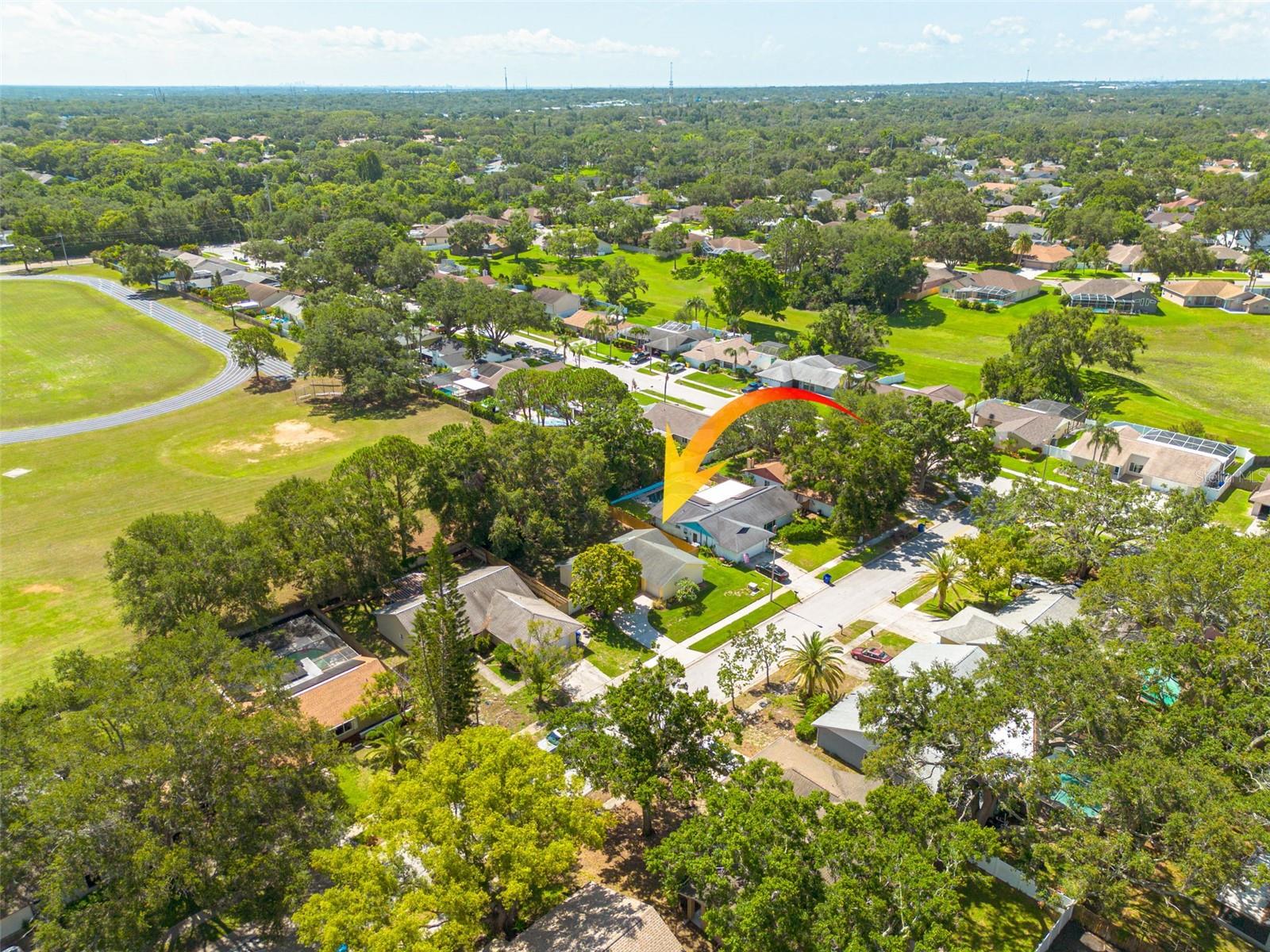 310 ARBOR DRIVE E