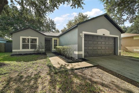 979 MAYFAIR STREET EUSTIS FL 32726