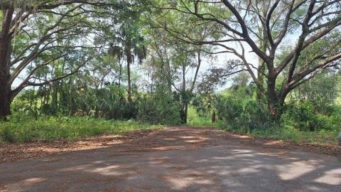 Tiny photo for 8033 E Gobbler Court, Floral City, FL 34436 (MLS # N6144321)