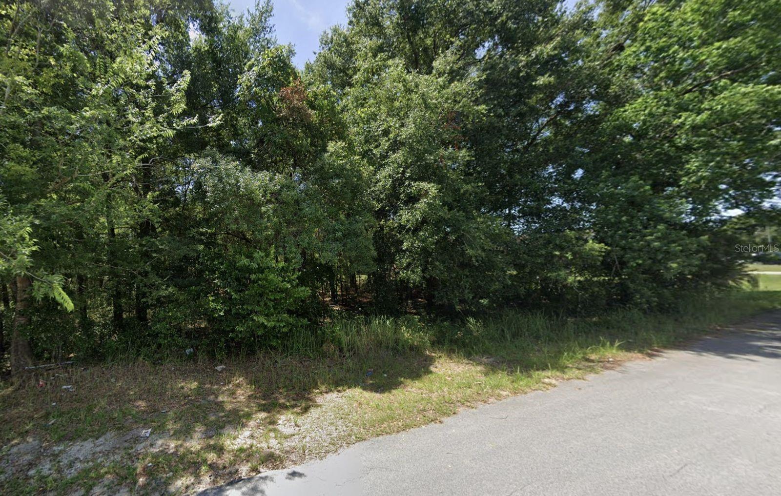 SILVER SPGS SHORES UN 16 - Land