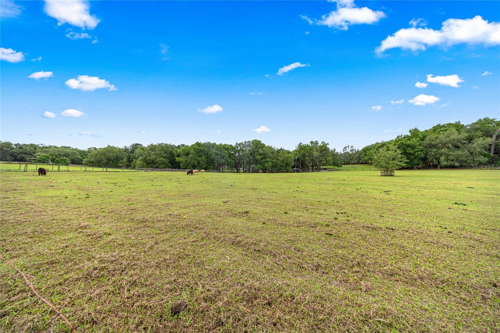 ACREAGE - Residential