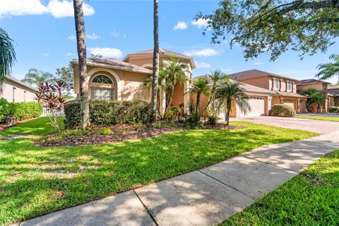 18118 DIAMOND COVE COURT TAMPA FL 33647