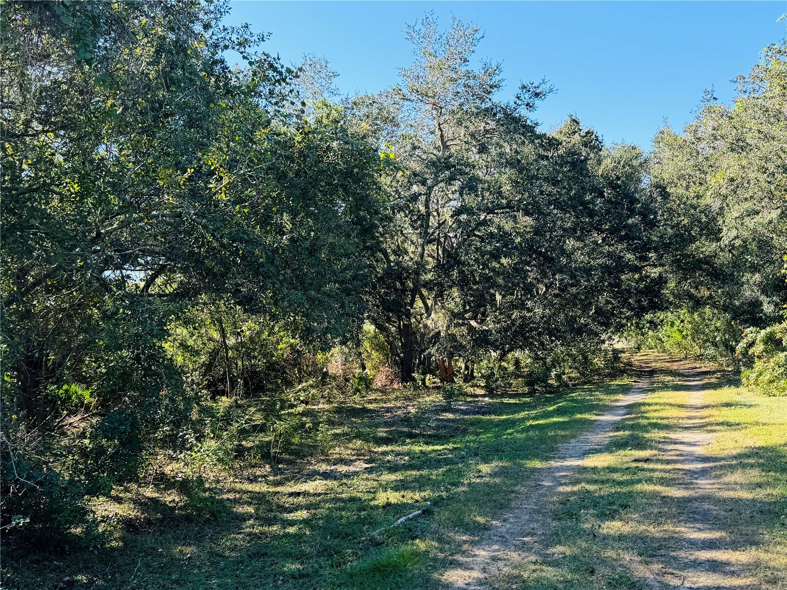5525 SPARTA ROAD