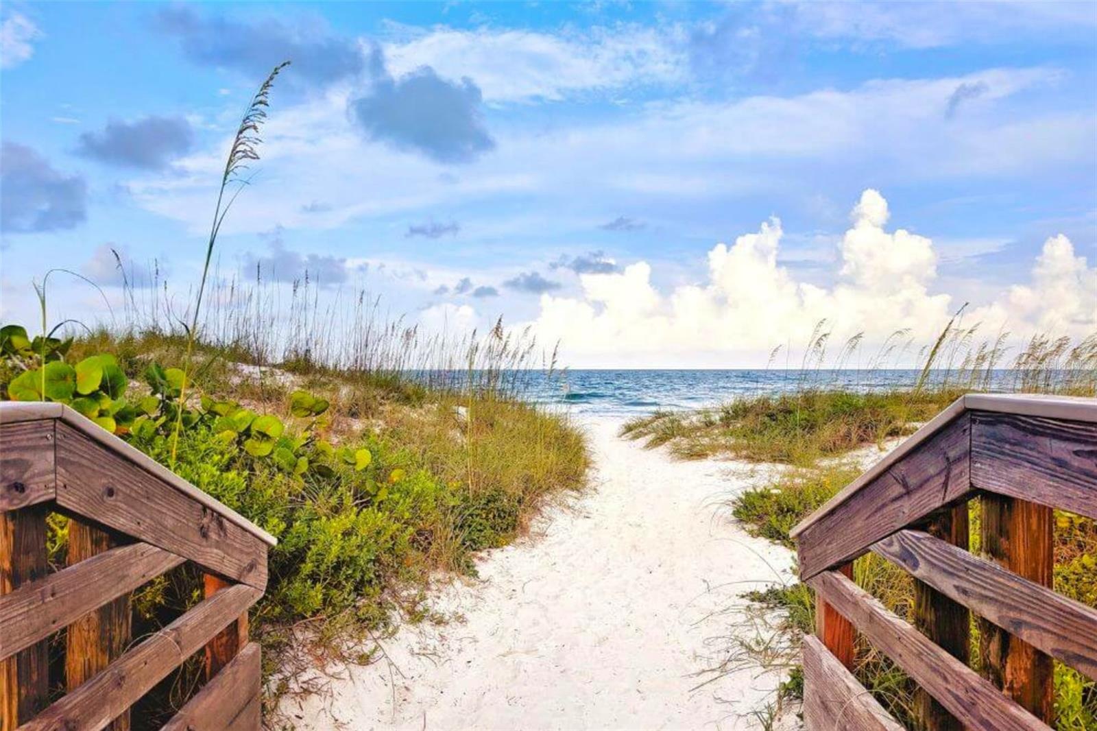 SOUTH BRADEN CASTLE CAMP - Residential