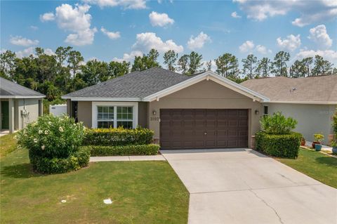 Single Family Residence in MULBERRY FL 3097 GRAND PRESERVE BOULEVARD.jpg