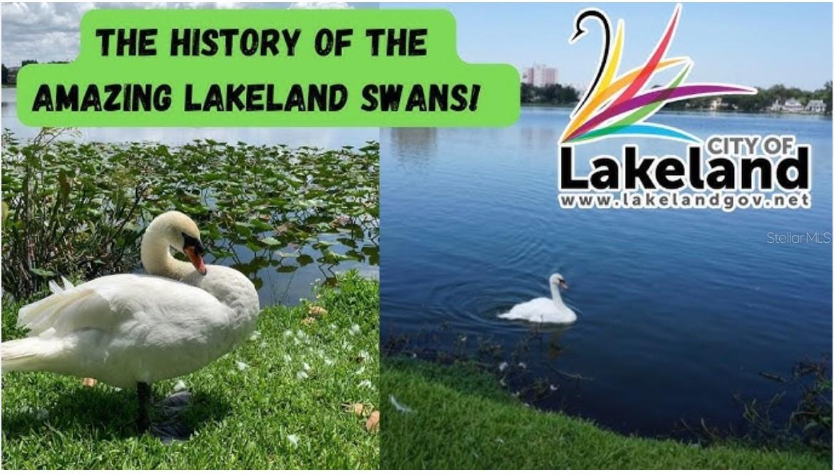 COX & PATTERSON RR ADD - Land