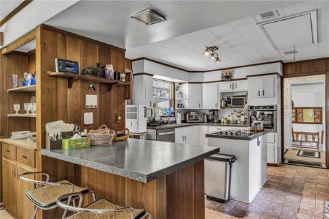 Tiny photo for 22308 Blue Creek Lodge Road, Astor, FL 32102 (MLS # R4911432)