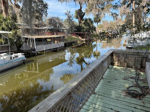 A home in LAKE PANASOFFKEE