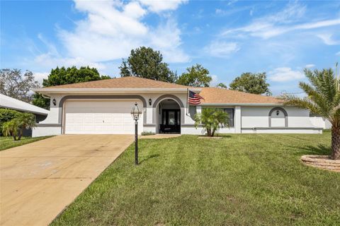 Photo of 11283 Pickford Street, Spring Hill, FL 34609 (MLS # TB8426874)