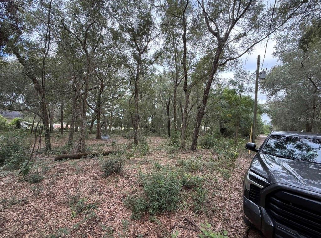 Photo of 10185 Creekfield Road, Brooksville, FL 34613 (MLS # W7881870)