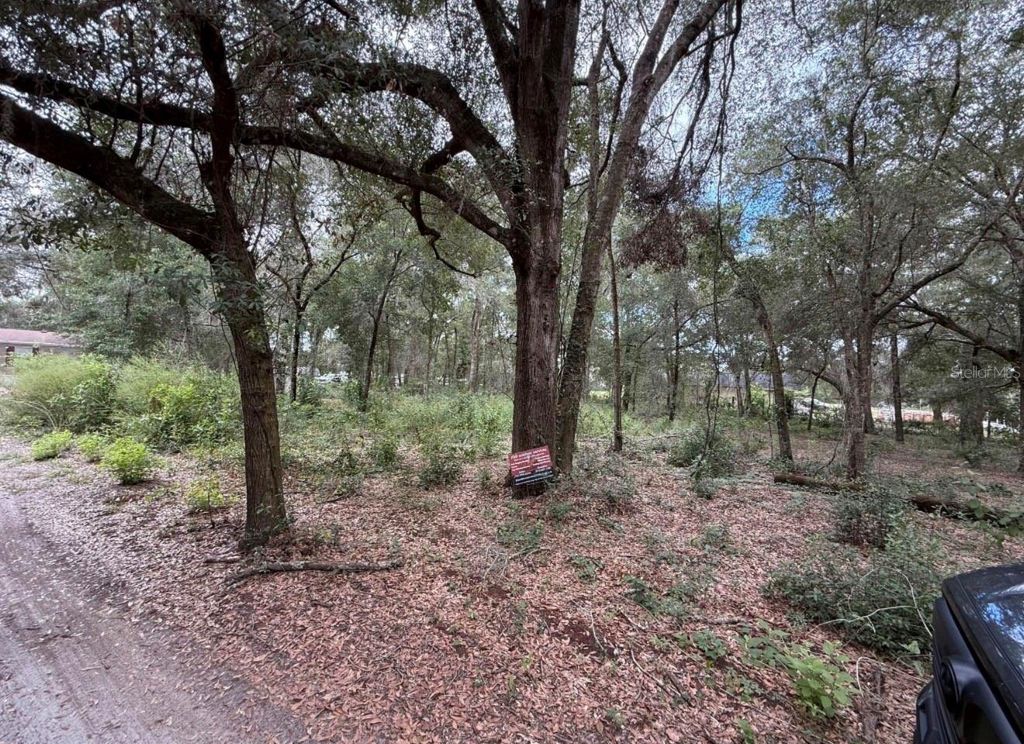 Photo of 10185 Creekfield Road, Brooksville, FL 34613 (MLS # W7881870)