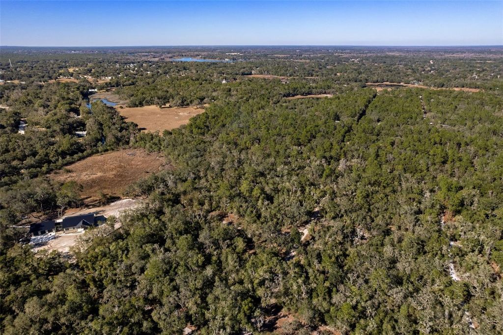 Photo of 9735 Mallard Drive, Inverness, FL 34450 (MLS # TB8466828)