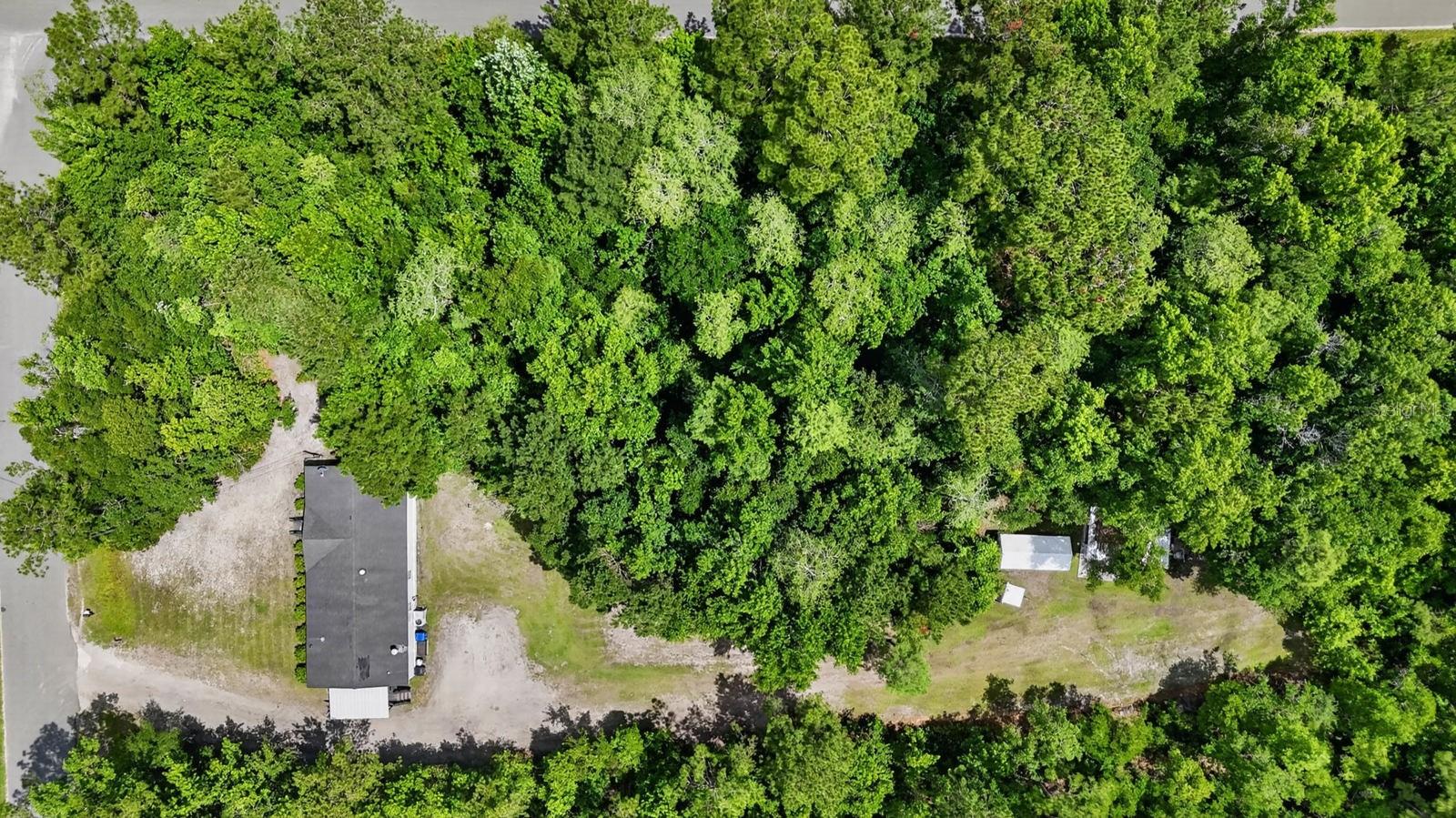 INDIAN TRACE - Residential