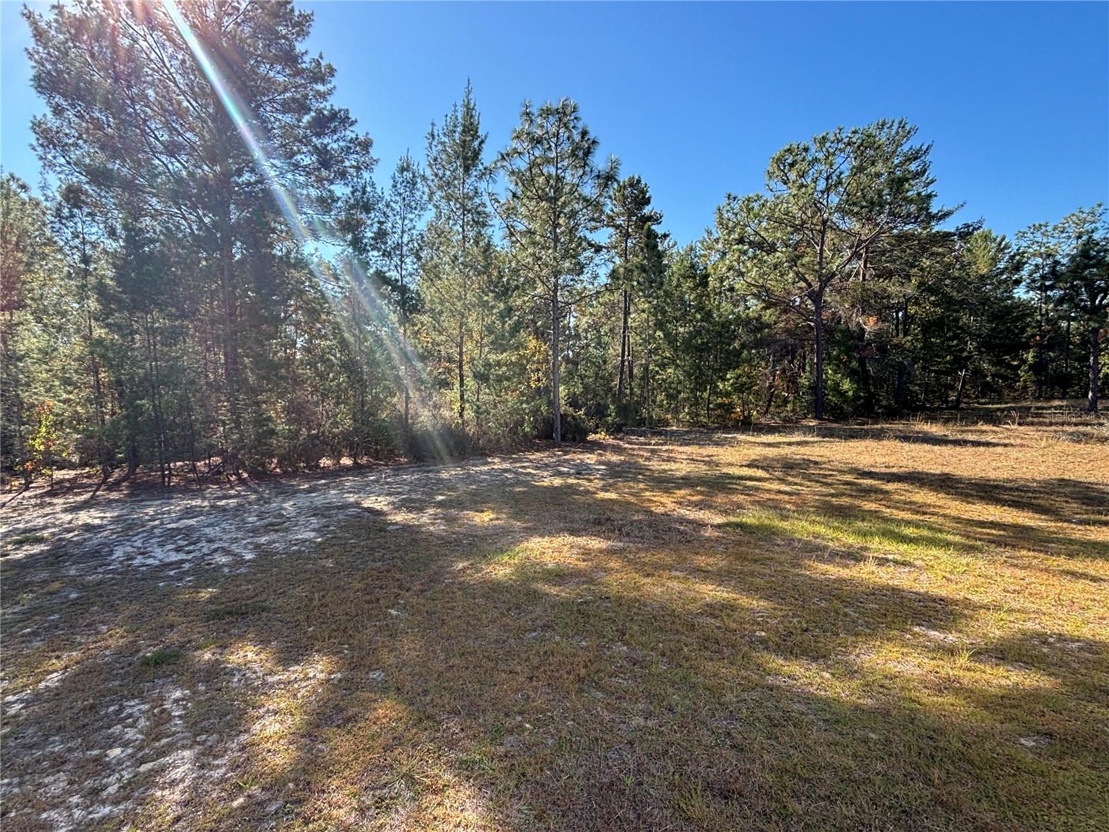 MELROSE LANDING - Residential