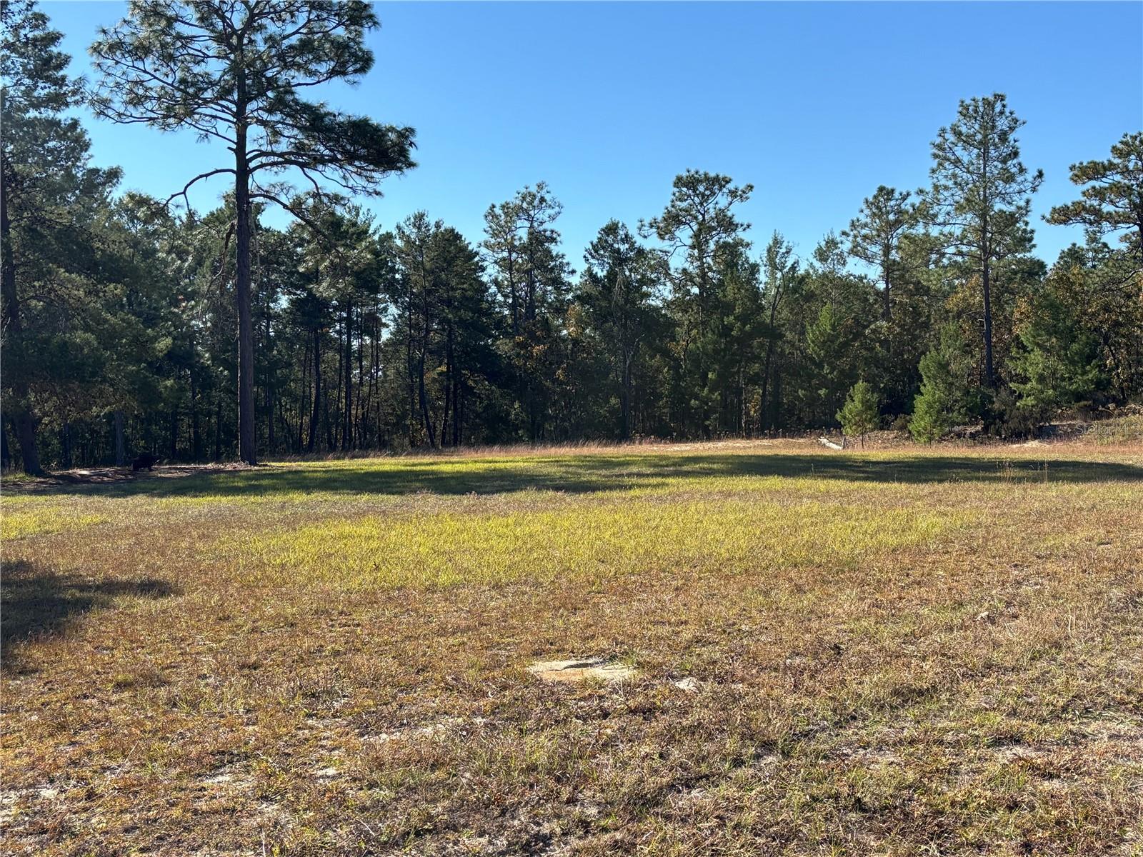 MELROSE LANDING - Residential