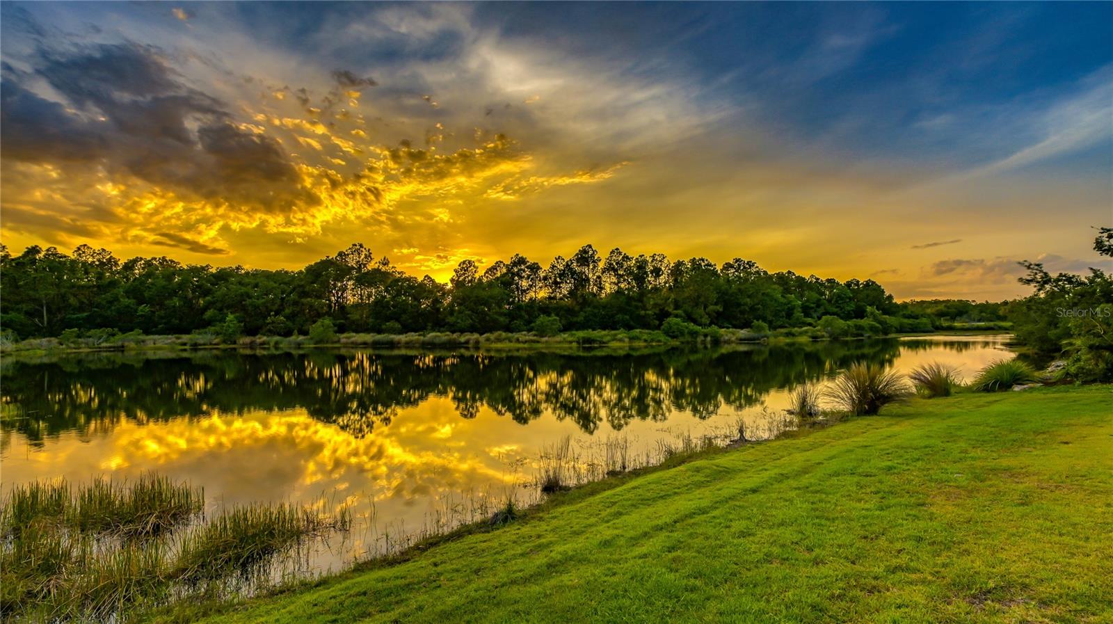 CONCESSION PH I - Residential