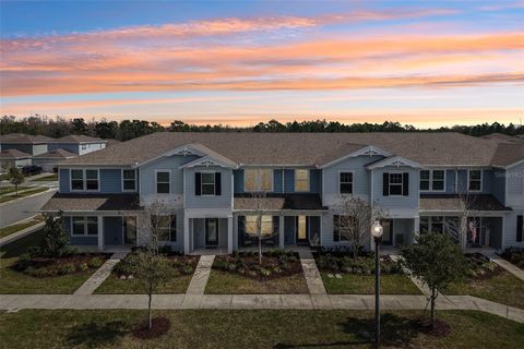 5217 SAPLING SPROUT DRIVE ORLANDO FL 32829