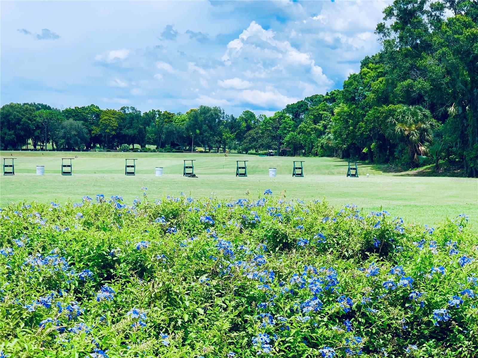 INNISBROOK - Residential
