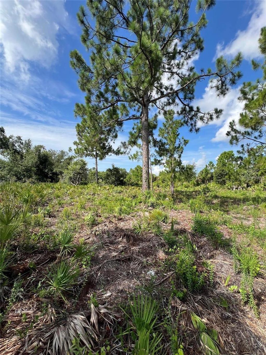 Photo of 2146 Westwind Street, Port Charlotte, FL 33953 (MLS # A4662132)