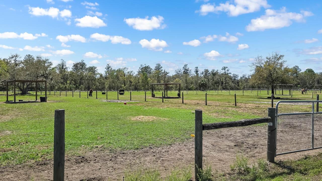 SUNDANCE UNIT 4 - Land