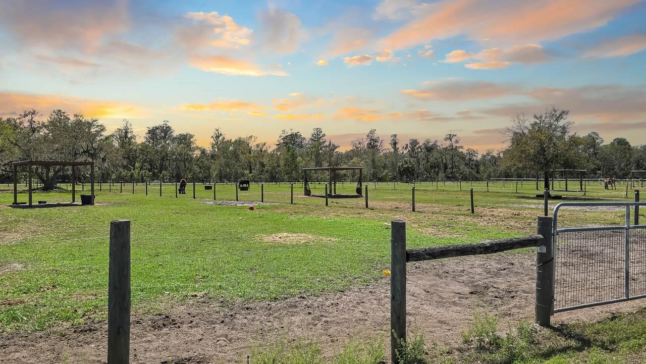 SUNDANCE UNIT 4 - Land