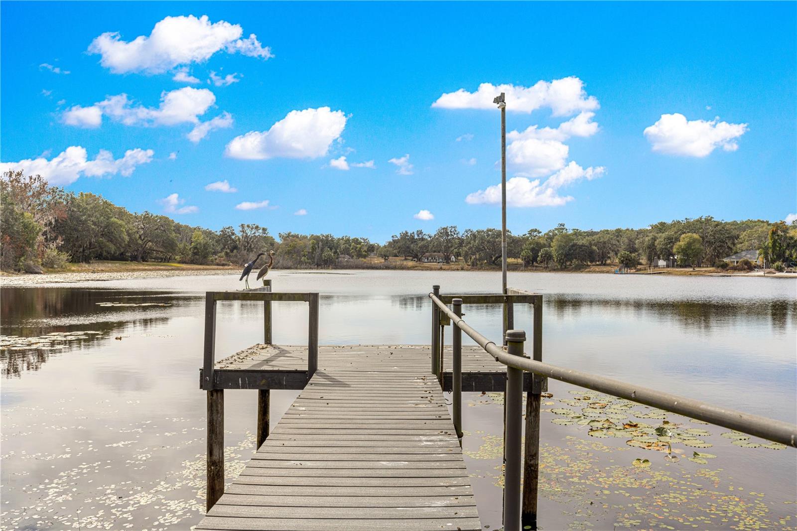 ROYAL OAK - Residential