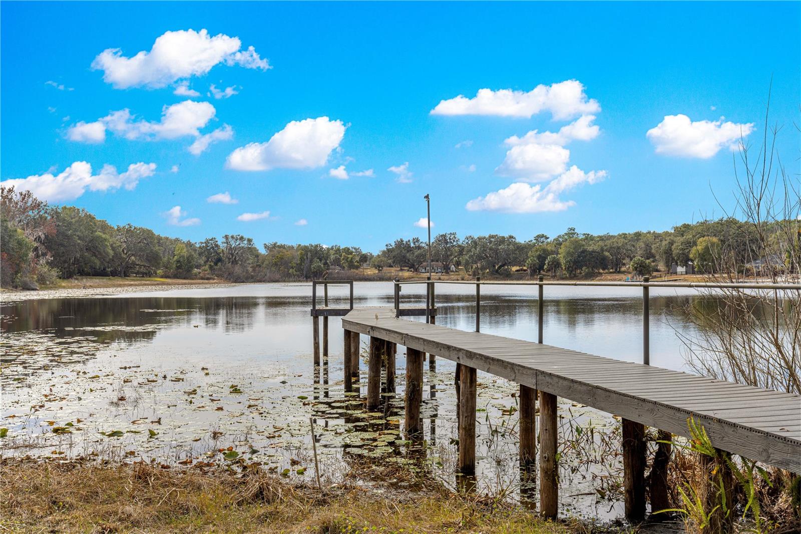 ROYAL OAK - Residential