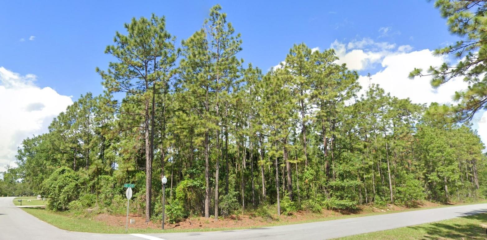 WILDWOOD COUNTRY ESTATES PH I - Land