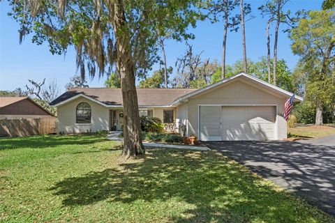 Photo of 504 County Road 468, Fruitland Park, FL 34731 (MLS # G5109850)