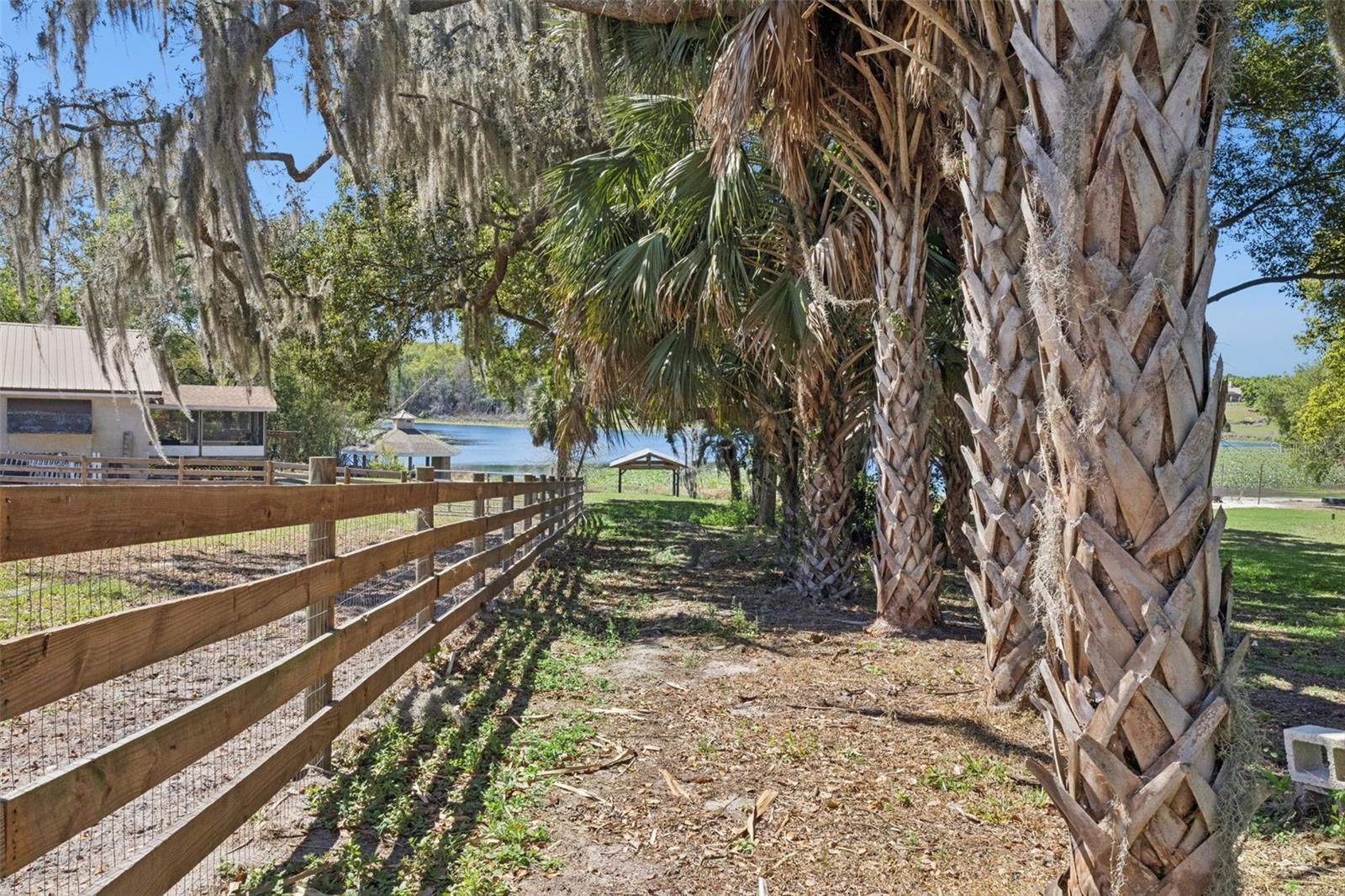 FRUITLAND PARK - Residential