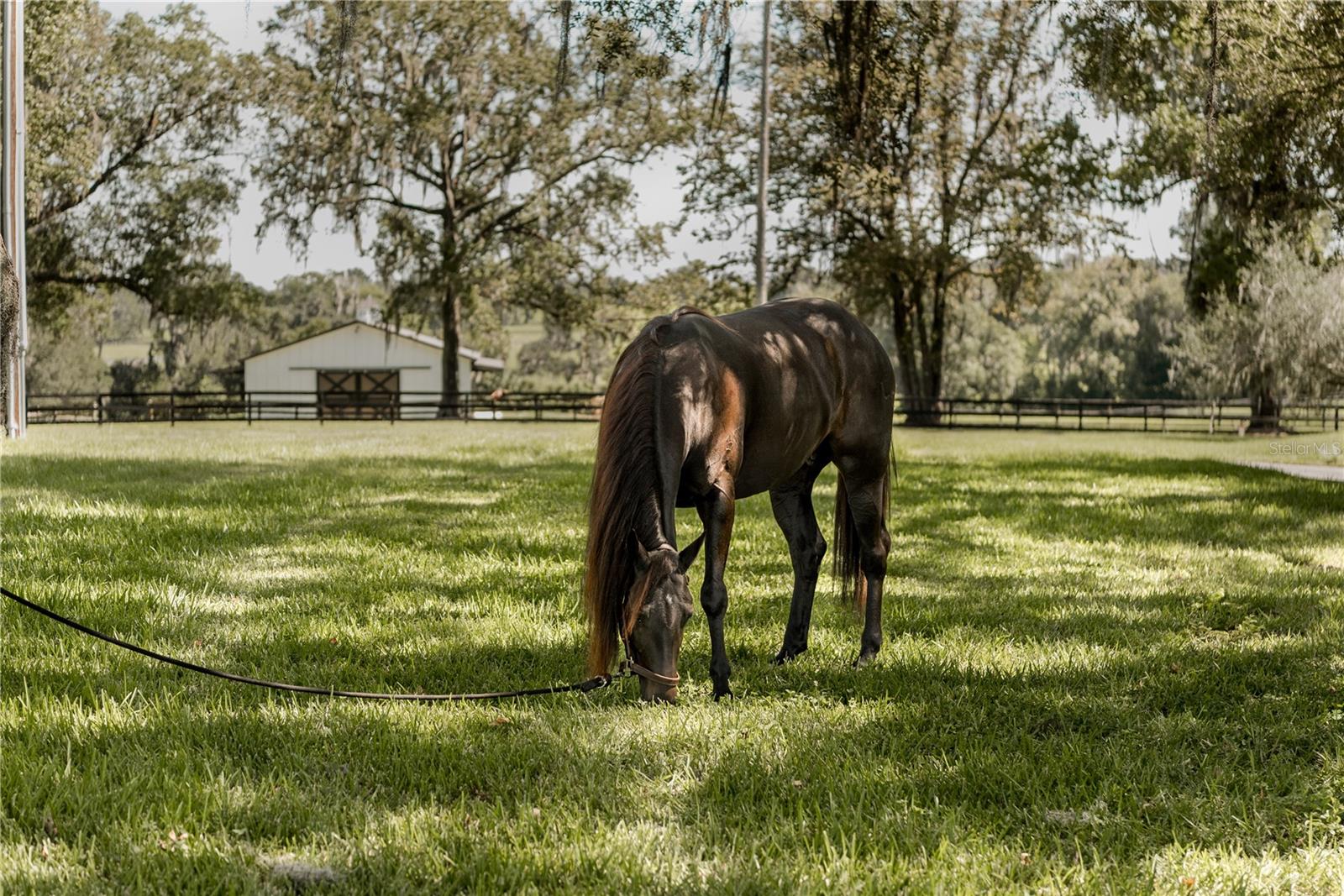 BENEDICT HEIGHTS - Farm