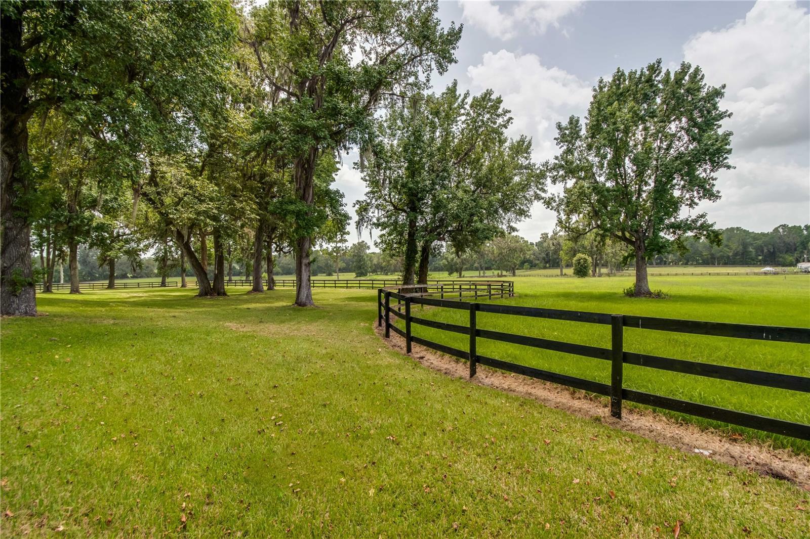 BENEDICT HEIGHTS - Farm