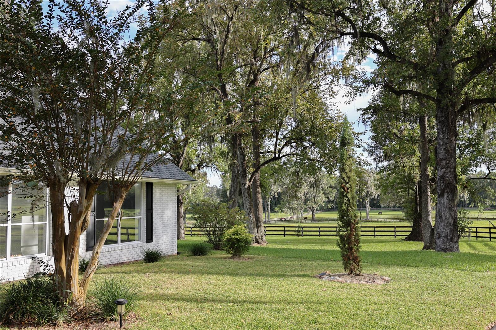 BENEDICT HEIGHTS - Farm