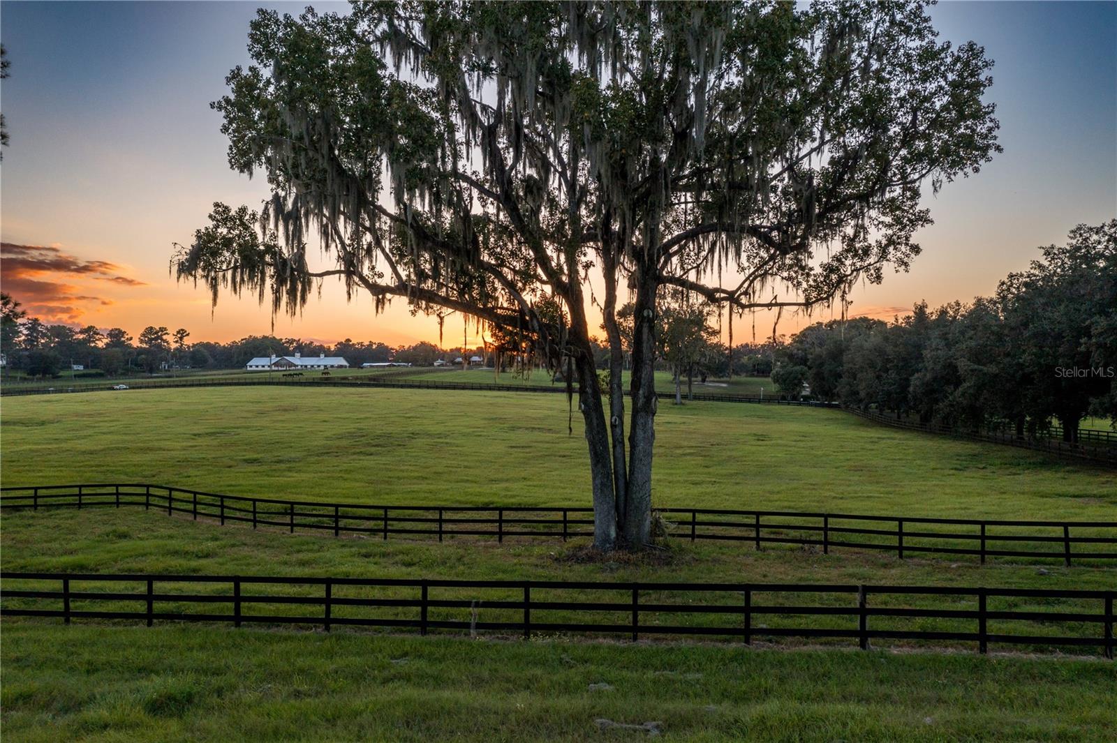 BENEDICT HEIGHTS - Farm
